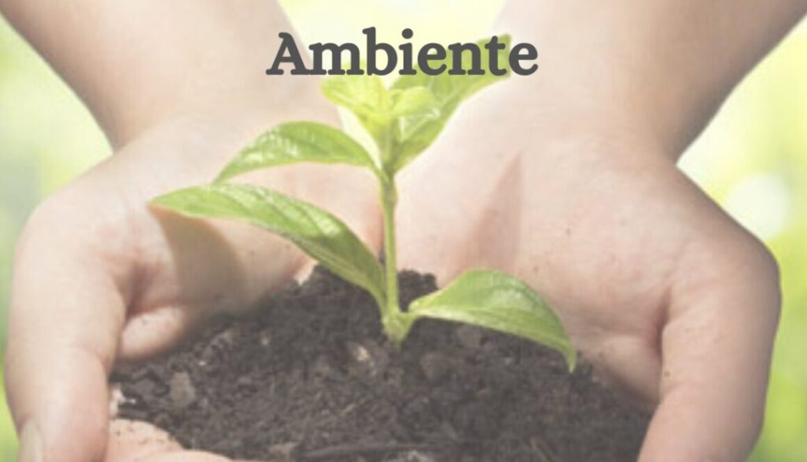 05/06 – Dia Mundial do Meio Ambiente